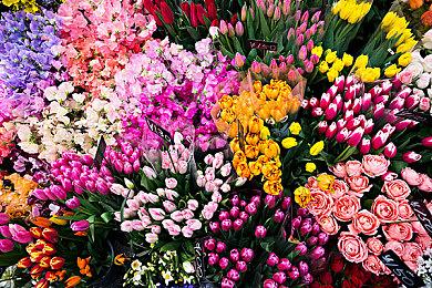 《数码宝贝物语：时空异客》故事预告PV发布 背景故事介绍！