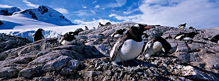 《皇牌空战7》发布3周年免费更新 联动偶像大师新标志